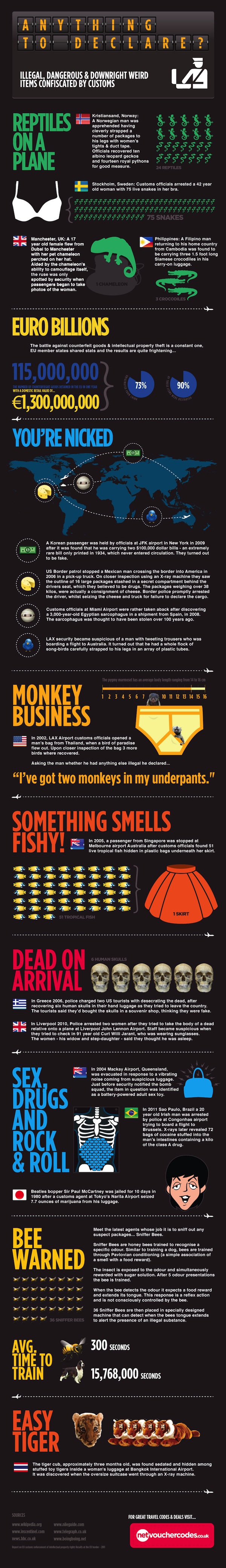 Anything to Declare Customs Infographic