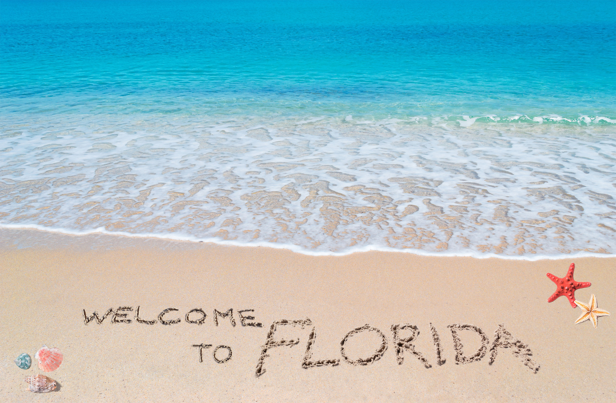 The 5 Best Places to Live in Florida for Families